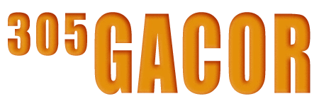 305GACOR